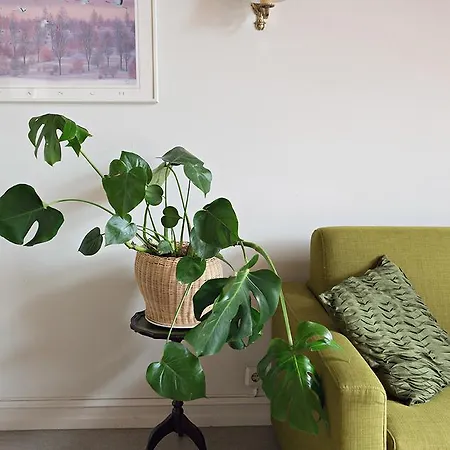 Apartman Brattagata Reykjavík